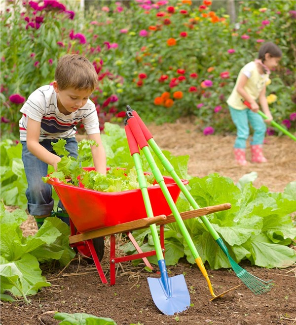 Poly kids wheelbarrow WB26014.jpg